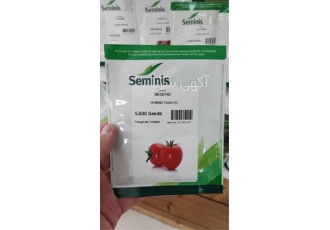 بذر گوجه فرنگی بدرو زودرس در شیراز بذر گوجه فرنگی بدرو یکی از بهترین