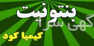 خاک گربه دیجی کالا