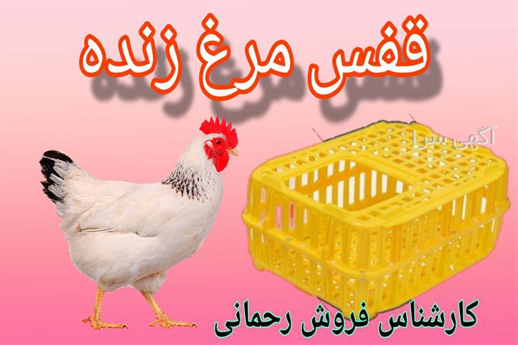 آگهی های بسته بندی - گرگان