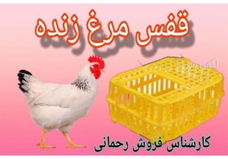 قیمت سبد پلاستیکی سبد مرغ زنده در گرگان شرکت شایان اعتماد نگین دشتابی