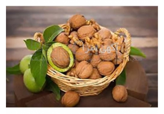 فروش اسانس گردو در تهران فروش اسانس گردو حلال در آب و روغن به صورت مایع