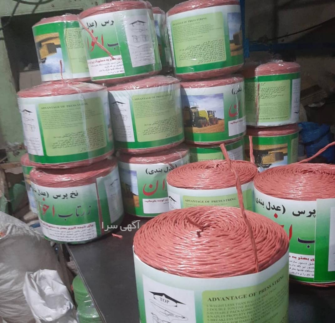 شماره مطب رامش مشکوری