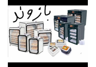 نمایندگی دستگاه جوجه کشی و مرغداری،جوجه و تخم مرغ