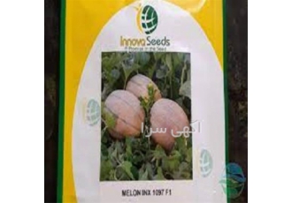 بذر ملون دلتا در اندیمشک بذر خربزه ملون دلتا پ وزن میوه 3تا3 5 کیلوگرم