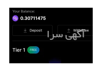 ماینر رایگان پالیگان