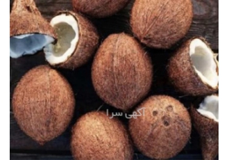 روغن نارگیل اصل و بدون ناخالصی