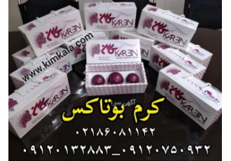 کرم بوتاکس ضدچروک و سفت کننده پوست این کرم برای پر کردن چاله های پوستی