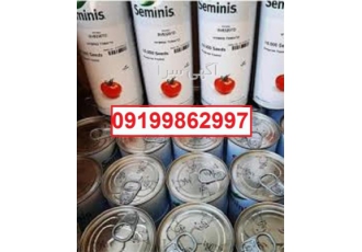 بذر گوجه فرنگی 8320 پرفروش .