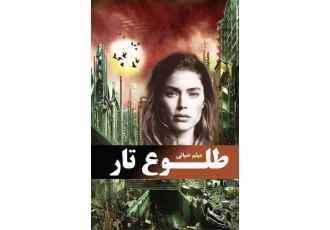 رمان بسیار زیبای طلوع تار میثم ضیایی در این رمان واقع zwnj گرا از زندگی