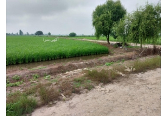 زمین کشاورزی و باغی به مساحت ۸۰۰۰ هزار متر مربع زمین کشاورزی و باغی