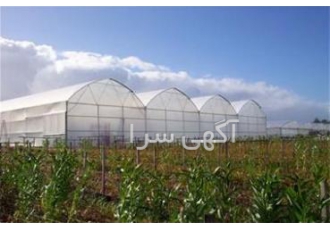تولید نایلون کشاورزی نایلون عریض گلخانه ای UV دار تولید کننده نایلون