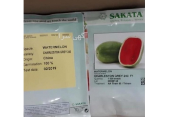 عرضه و فروش بذر هندوانه چارلستون درجه یک در بیرجند عرضه و فروش بذر