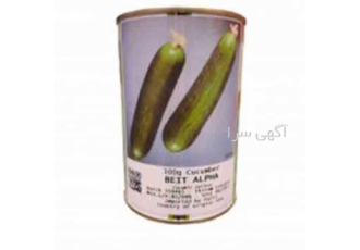 بذر خیار گلخانه ای سلطان - قیمت بذر خیار گلخانه ای