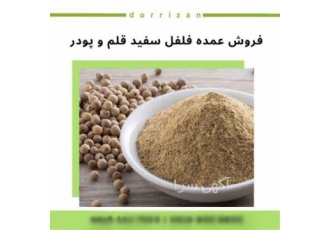 فروش دانه فلفل سفید و فروش فلفل سفید قلم و پودر در شهر ری فروش دانه