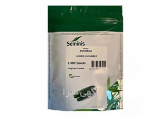 فروش بذر خیار SV۴۱۹۶CD سیمینس در بندرعباس بذر خیار 4196 سمینیس این رقم