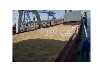 واردات گندم ، جو و ذرت خوراکی و دامی از روسیه