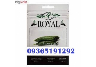فروش بذر خیار رویال قیمت عالی و پر فروش در بوشهر فروش بذر خیار رویال