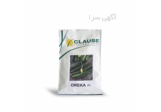 قیمت بذر خیار اورکا _ فروش ویژه
