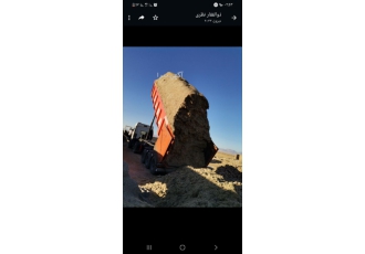 شرکت خوراک دام کویر