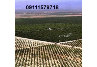 سرمایگذاری درشمال کشور مازندران بنام خدا طرح توجیهی اقتصادی سرمایگذاری