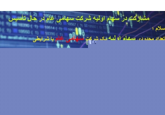 مشارکت در طرح ساخت شهرک فناوری سلام تعداد محدودی سهام اولیه یک شرکت