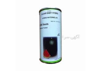 عرضه و فروش بذر هندوانه شوگربیبی
