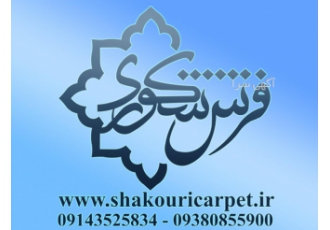 انجام خدمات طراحی سایت و سئو طراحی انواع سایت های فروشگاهی شرکتی خدماتی