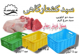 سبد حمل ماهی و مرغ