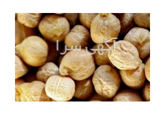 گروه تجاری و بازرگانی حبوبات پاپریک در کرمانشاه بهترین منبع برای خرید