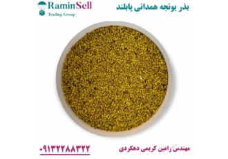 فروش بذر یونجه همدانی شناسنامه دار بصورت کیسه های 10 و 25 کیلویی