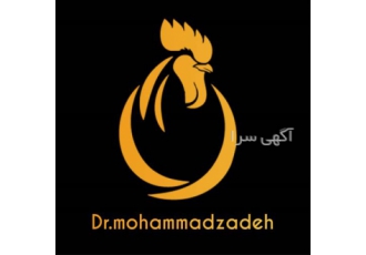 درمان پرندگان زینتی دامپزشک متخصص ، کلینیک پرندگان