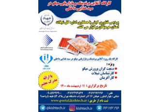 کارگاه آنلاین برندینگ و بازاریابی میگو پردیس فناوری کیش با همکاری