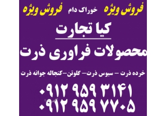 فروش فراورده های ذرت