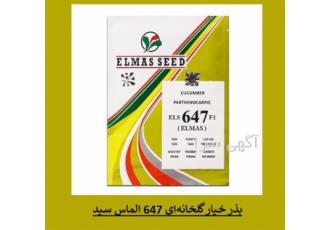 بذر خیار گلخانه ای 647 الماس سید