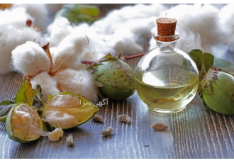 روغن با کیفیت پنبه دانه اصل ارائه کلیه روغن های خالص و 100% ارگانیک