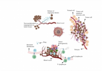طراحی رسم شکل عکس مقاله پایان نامه Graphical abstract رسم و طراحی شکل