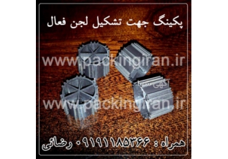 پکینگ معلق جهت تشکیل لجن فعال در تصفیه فاضلاب