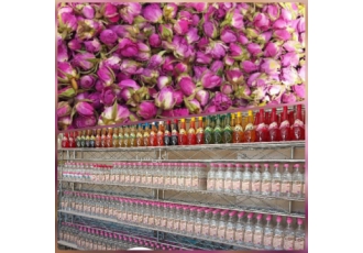 گلاب و عرقیات گیاهی قمصر