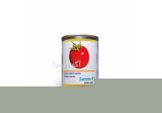فروش بذر گوجه ثمین
