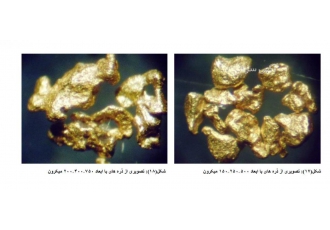 سرمایه گذاری در معادن طلای افریقا