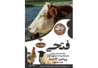تهیه فروش وپخش ملاس چغندر قند فتحی