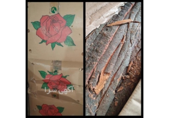 فروش دارچین گلسرخی