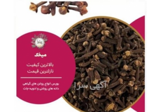 فروش میخک قلم