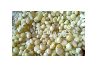 سیر پوست کنده