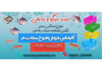 سبد ماهی و سبد میگو و سبد لبنیات