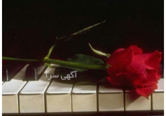 آموزش پیانو در رشت آموزش پیانو برای تمام سنین با بیش از 17 سال سابقه