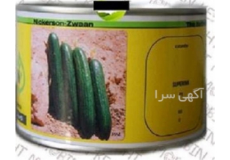 فروش بذر خیار فضای باز سوپرینا کیفیت تضمینی