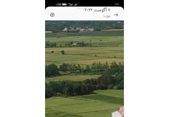 زمین شالیزار به متراژ ۱۴۴۰۰حاصلخیز زمینی به مساحت 14400متر با محصولی