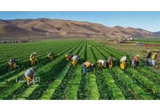 فروش شرکت پیمانکاری گرید ۵ راه رتبه ۵ کشاورزی در تهران فروش شرکت