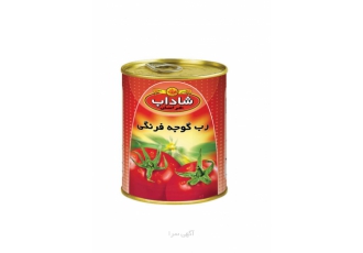 اعطای نمایندگی فروش در داخل و خارج از کشور شرکت شاداب خراسان تولید